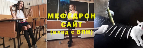 прущие грибы Инсар