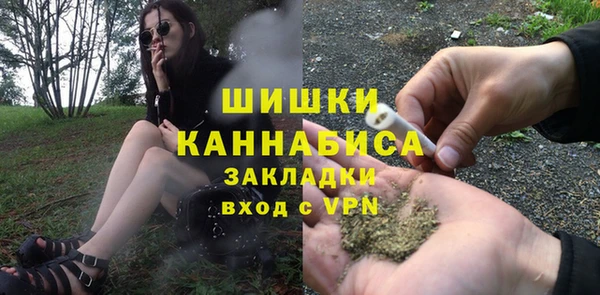 прущие грибы Инсар
