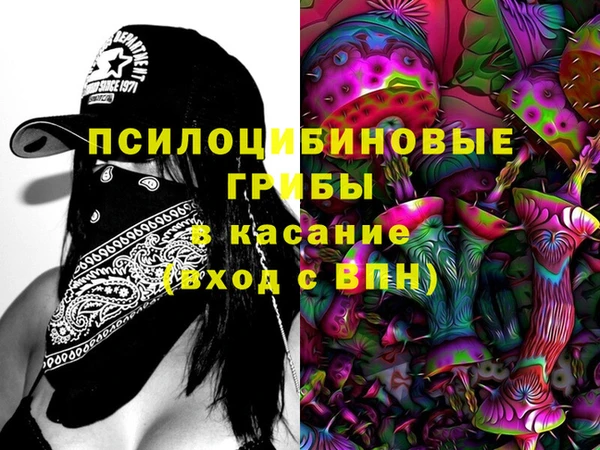 прущие грибы Инсар