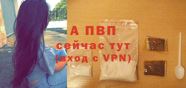 прущие грибы Инсар