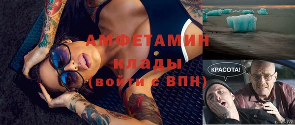 прущие грибы Инсар