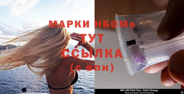 прущие грибы Инсар
