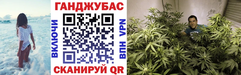 Купить закладки  Камень-на-Оби  Бошки Шишки ГИДРОПОН 